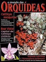 O Mundo das Orquídeas